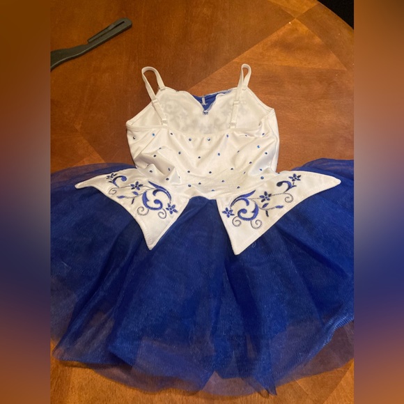 Dance costume (revolution dancewear) - Picture 2 of 2